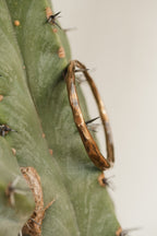 Aeon Bracelet